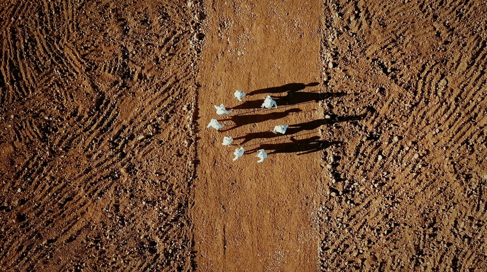 GODDESSES OF HEALING mit Tabita Rezaire, Berni Searle, Buhlebezwe Siwani & Lorna Simpson