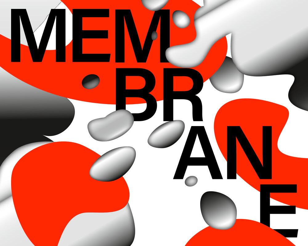 Membrane. African Literatures and Ideas